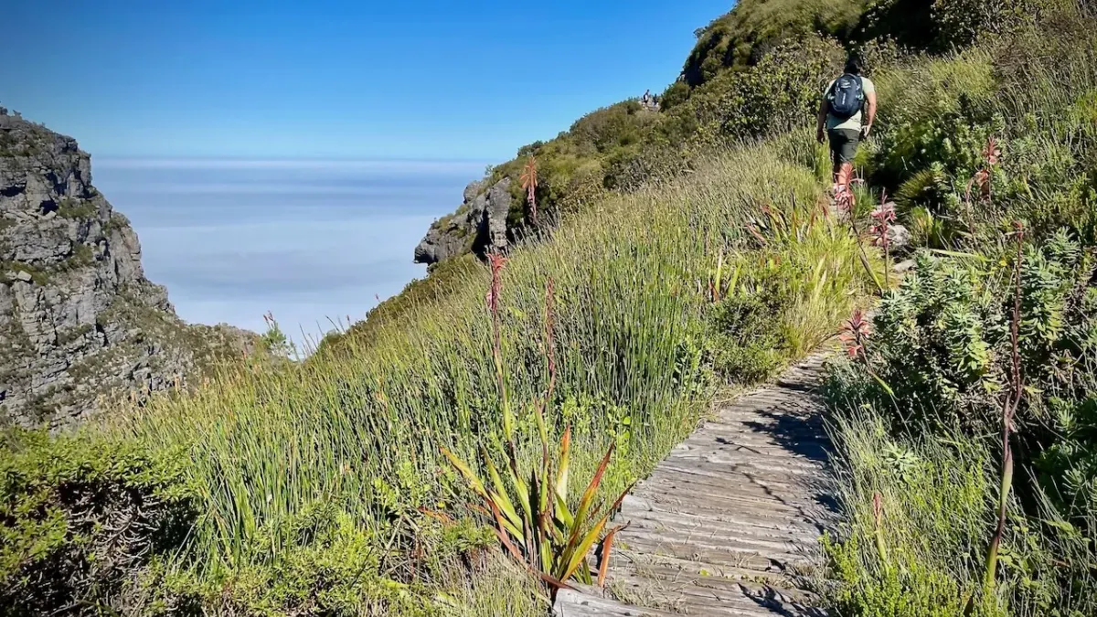 Hikers on the ladders of Skeleton Gorge