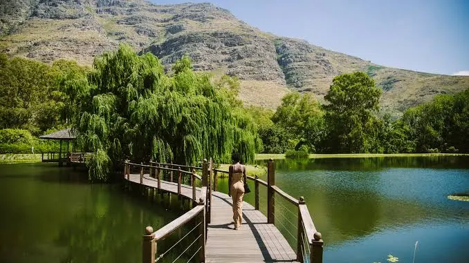 A boardwalk and lake at a Stellenbosch wine estate