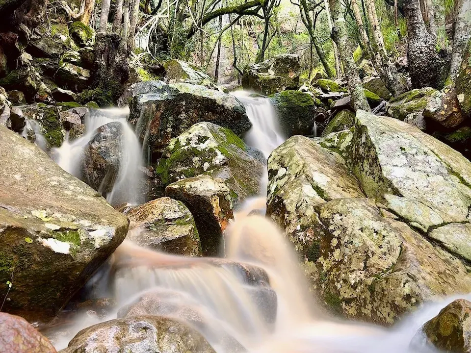 A stream cascading over mossy boulders in Newlands Forest